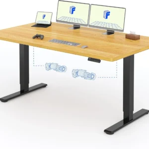 FLEXISPOT-2-Moteurs-Bureau-Assis